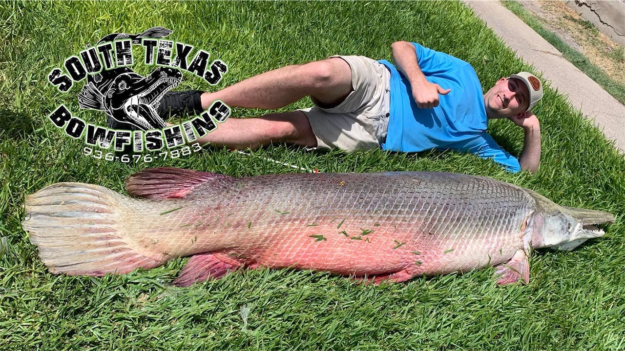 Texas fishermen bow massive 271-pound alligator gar