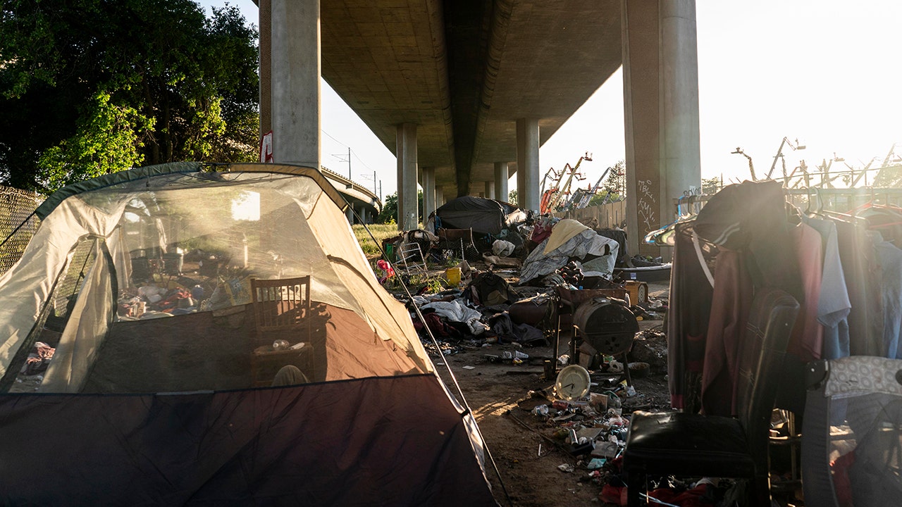 California's capital outpaces San Francisco in homeless population as violent crime skyrockets in Bay Area