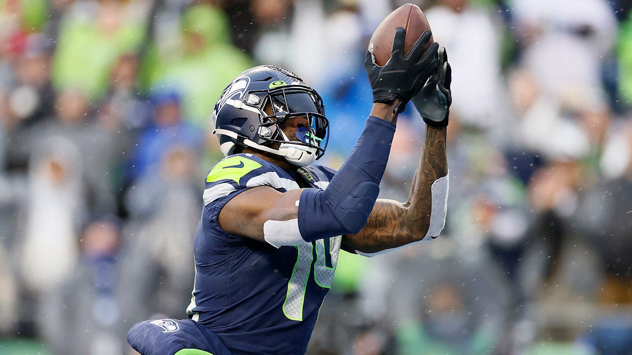 DK Metcalf of the Seattle Seahawks catches the ball for a touchdown News  Photo - Getty Images