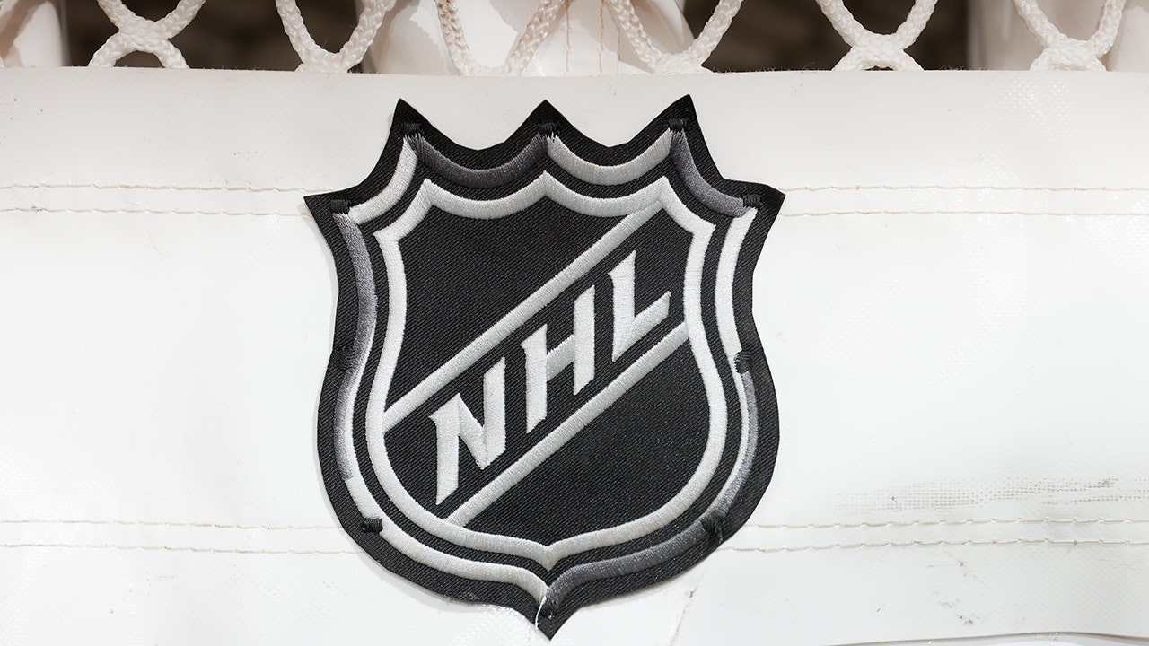NHL, NHLPA launch inclusion coalition to ‘support diversity in hockey’