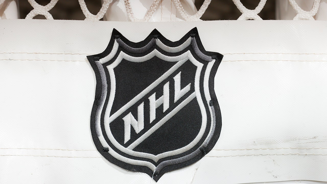 NHL, players unveil inclusion coalition to make hockey more