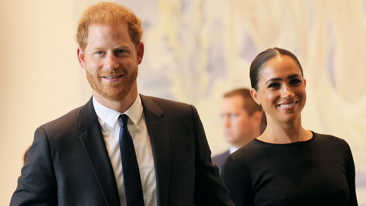 Prince Harry calls Meghan Markle his 'soulmate' during Nelson Mandela Day  speech at United Nations | Fox News
