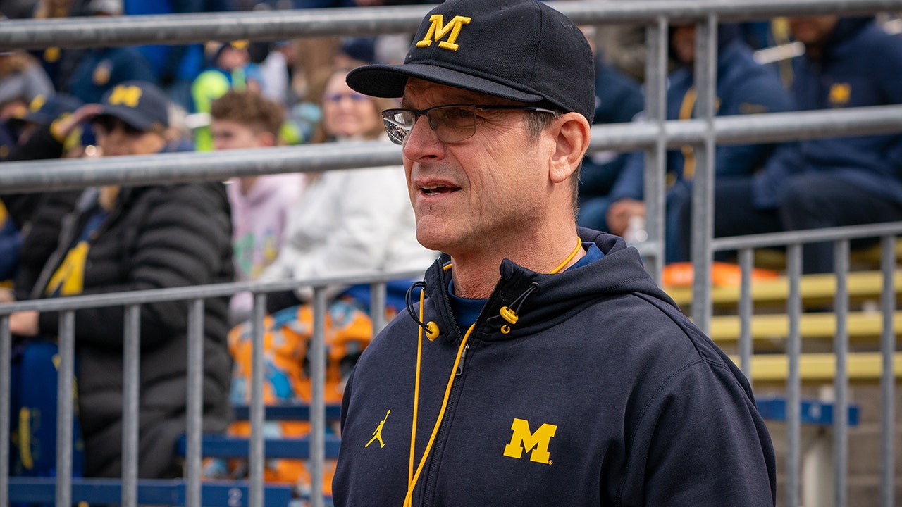 Jim Harbaugh — Super Awesome Head Coach!