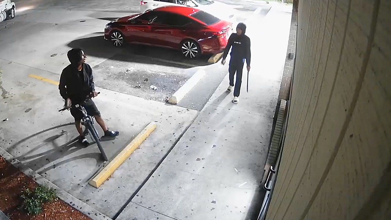 Florida man menaces bike rider with machete, then shoots him in the face on video