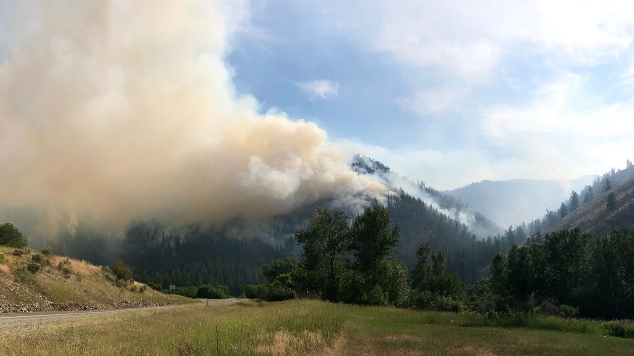 West wildfires: Crews make progress in Idaho, California - Vimarsana News