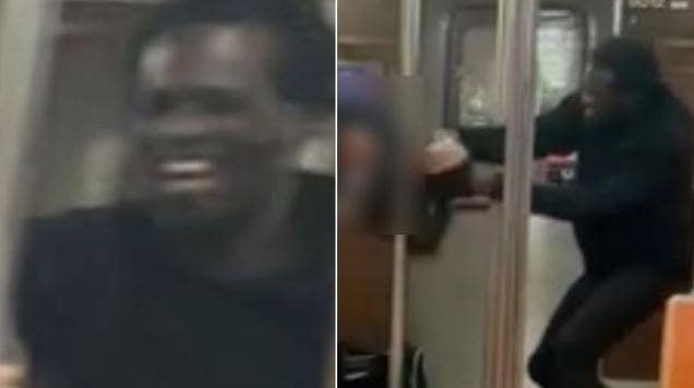 New York City man has hair ripped out in violent attack on subway ...