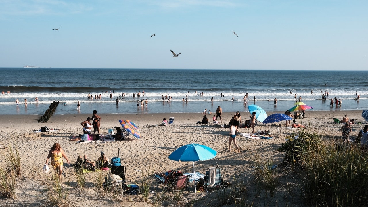 More New York shark sightings reported at Rockaway Beach