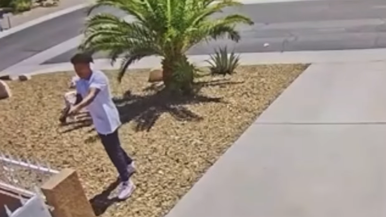 News :Las Vegas attempted murder caught on video: Homeowner narrowly escapes being shot after suspect’s gun jams