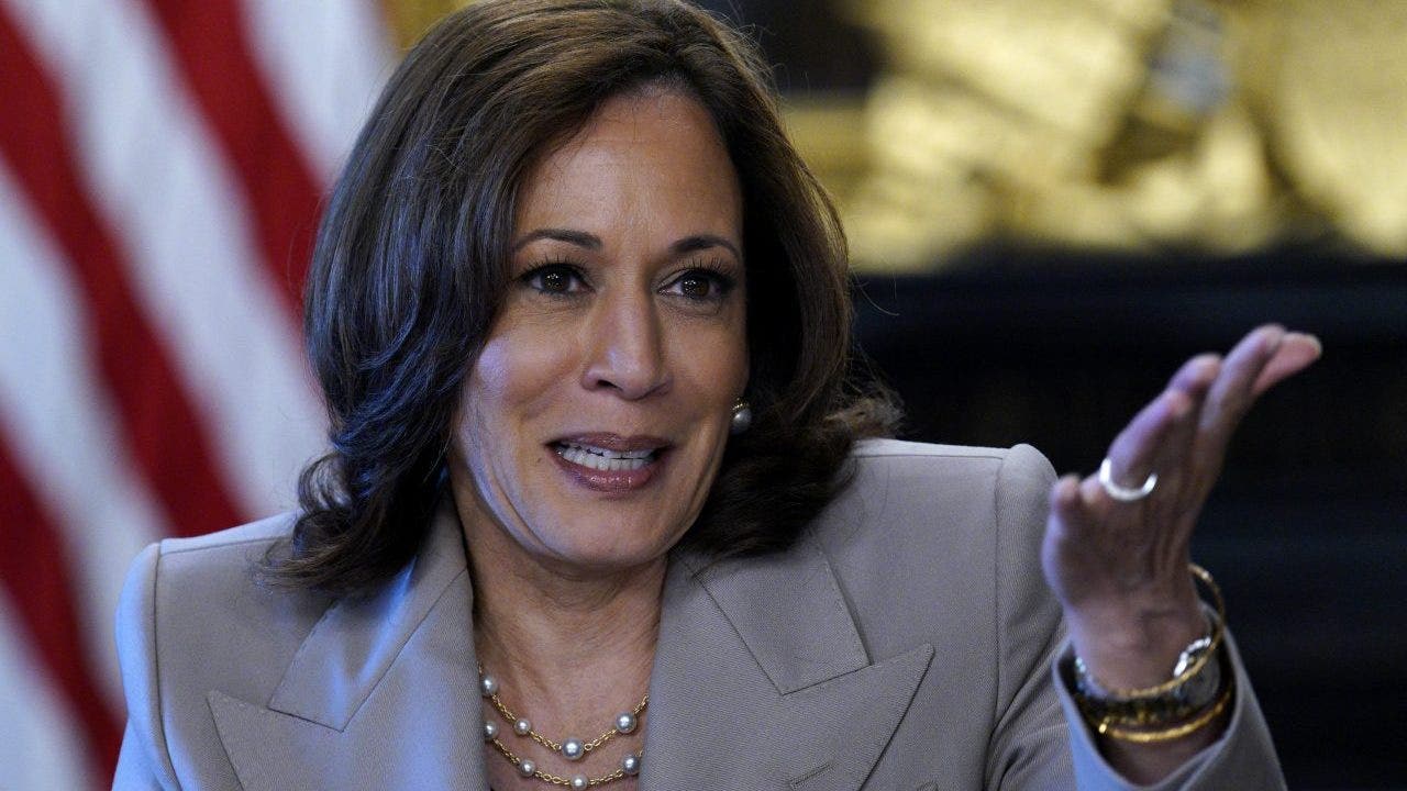 VP Harris calls for 'assault weapons ban' on guns 'intentionally designed to kill' people