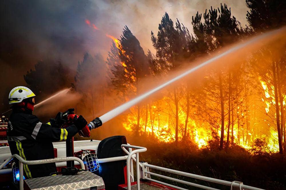 Westeuropa wird von Waldbränden heimgesucht, da bei einer Hitzewelle Hunderte von Toten gemeldet werden