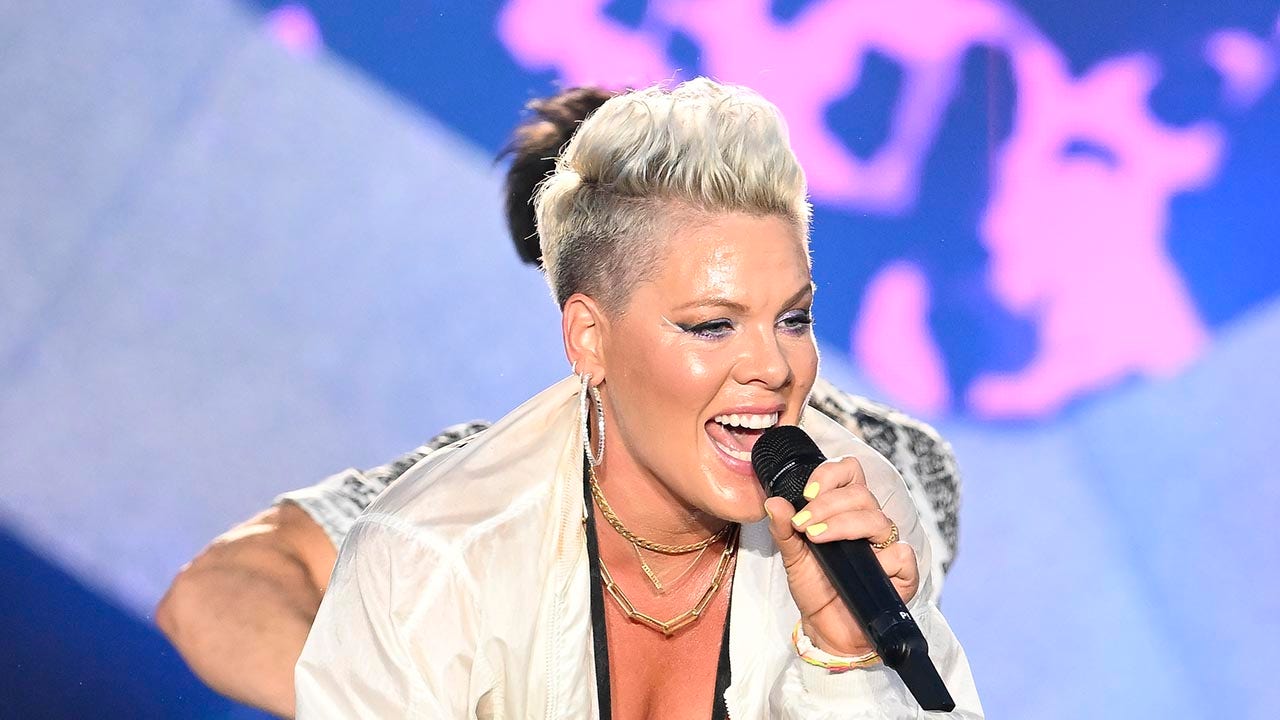 Pink tells supporters of SCOTUS abortion decision to ‘NEVER F—ING LISTEN TO MY MUSIC AGAIN’