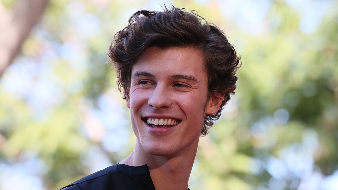 Shawn Mendes postpones his world tour, citing his 'mental health'