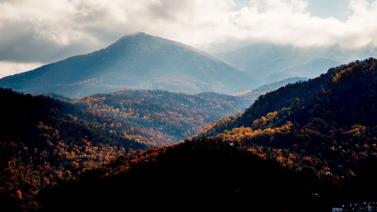 7-year-old girl dies in Smoky Mountain park when tree falls on tent