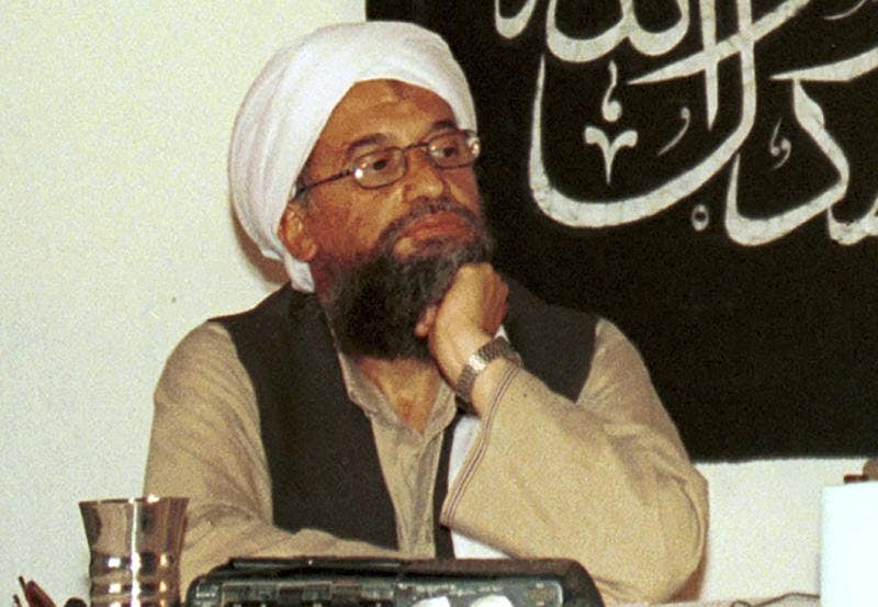 Al Qaeda leader’s death leads Rep. Mike Waltz to question why bin Laden successor was in Kabul