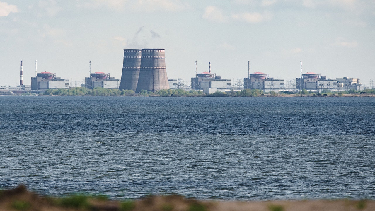 Ukraine nuclear plant occupied by Russian forces temporarily cut off from power grid