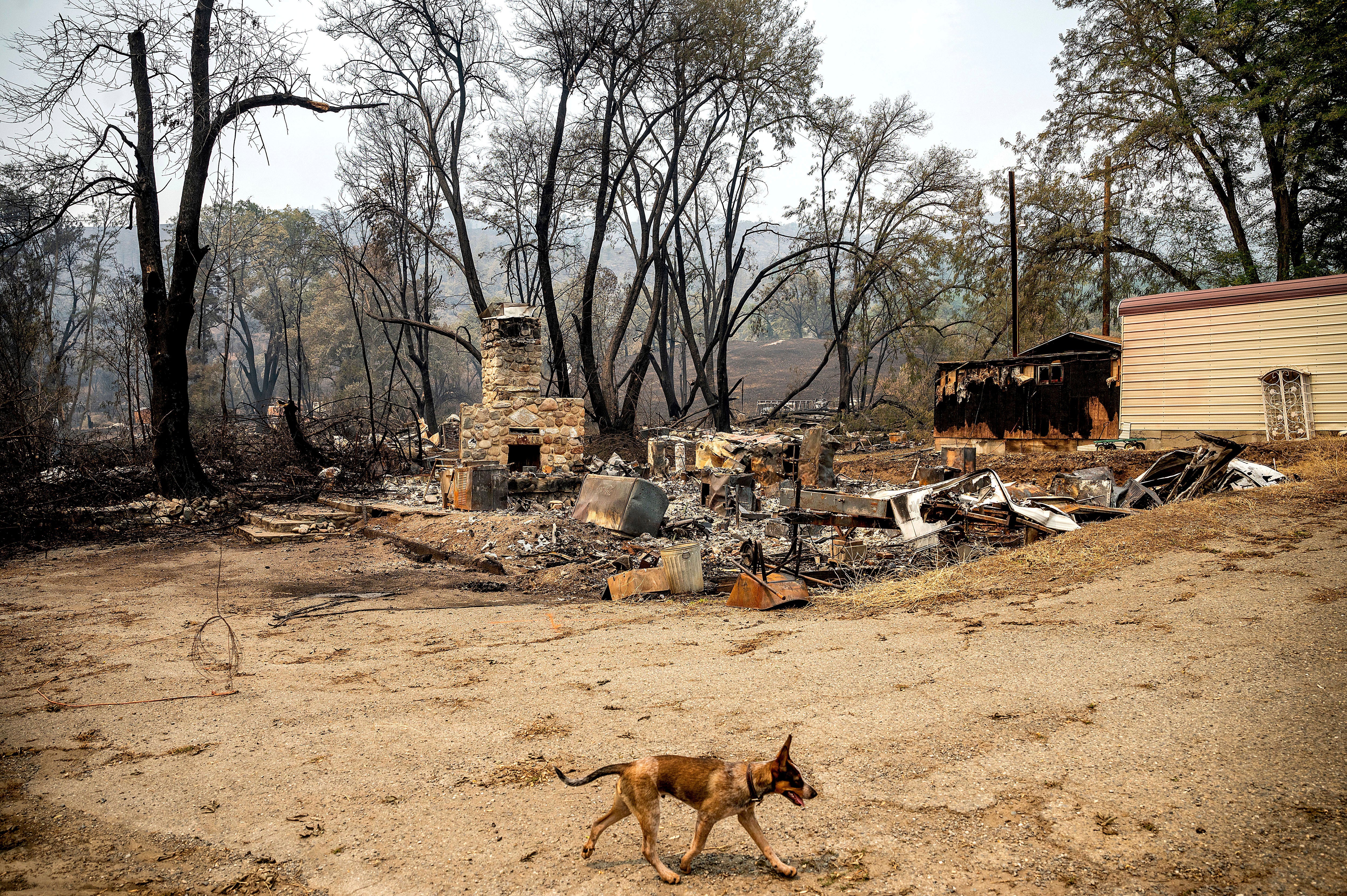 California wildfire wipes out scenic hamlet by Klamath River