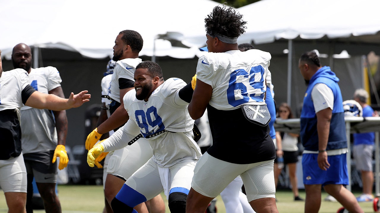 LA Rams Aaron Donald: 'Football Without Fans Wouldn't be Fun