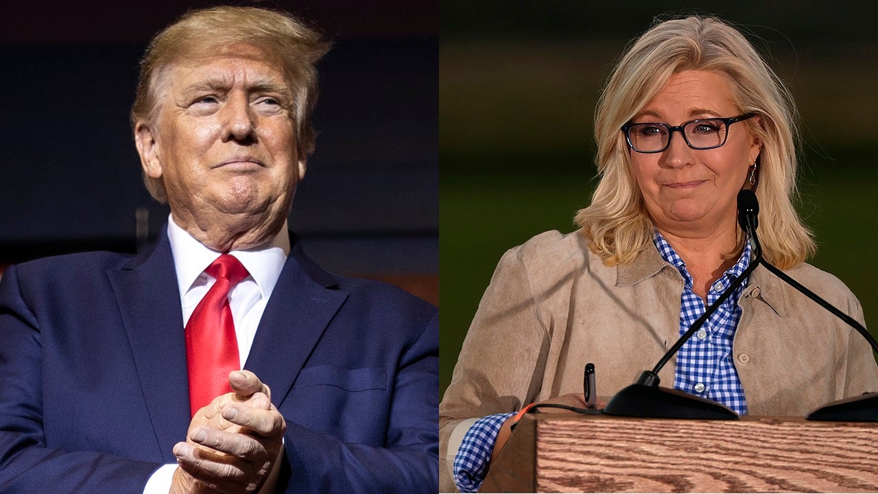 Trump blasts Liz Cheney after primary loss to Harriet Hagerman: 'The people have spoken'