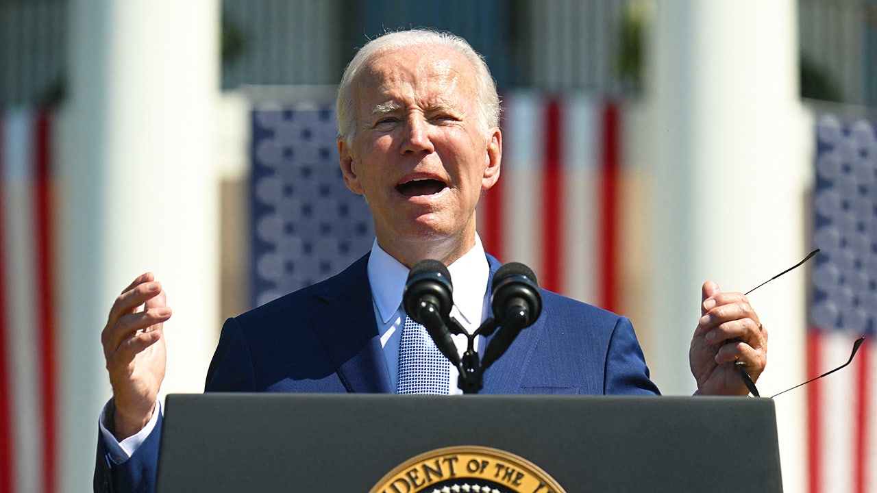 Strategists warn of midterm ramifications after Biden announces $300 billion student loan handout