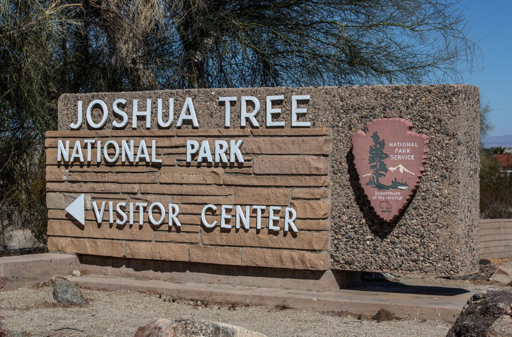 California's iconic Joshua Tree National Park reopens roadways after flood