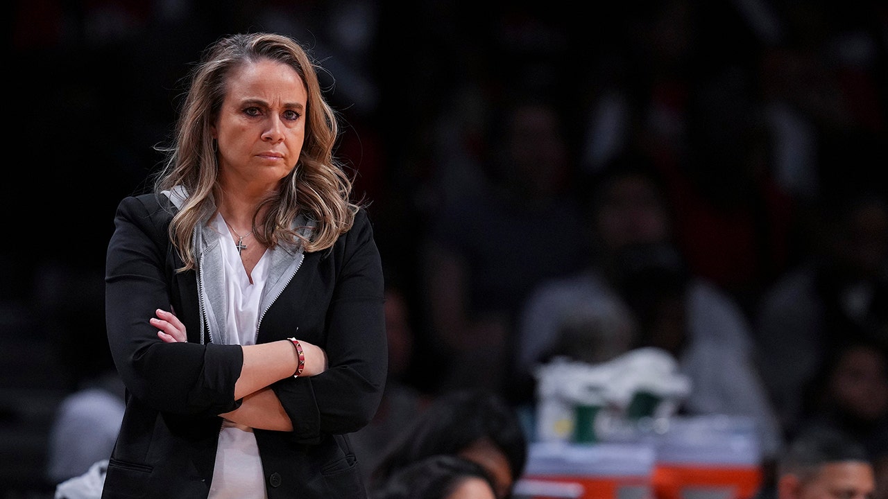 Тренер WNBA Бекки Хэммон призывает Россию «поступить правильно» перед вынесением приговора Бритни Гринер