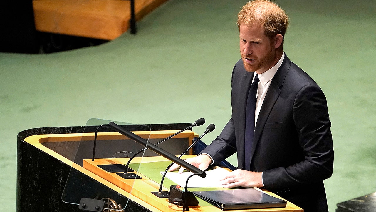 Prince Harry United Nations