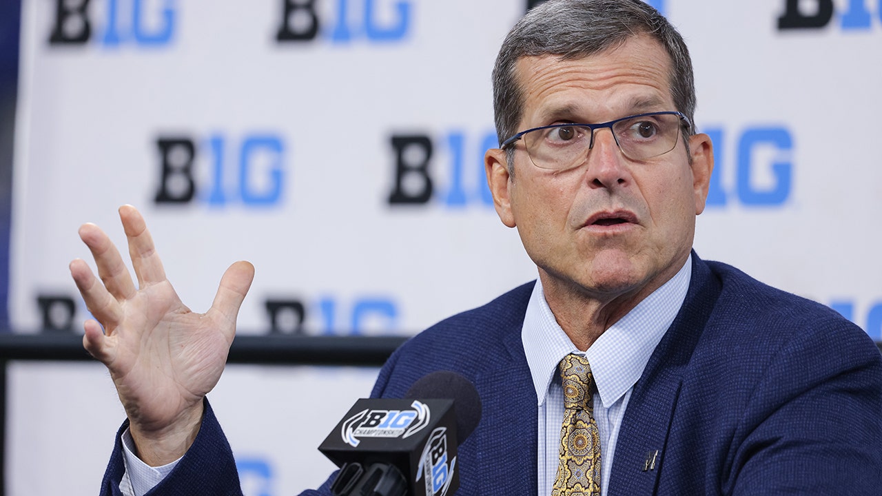 Jim Harbaugh was just a tad angry after the no-call in the end zone