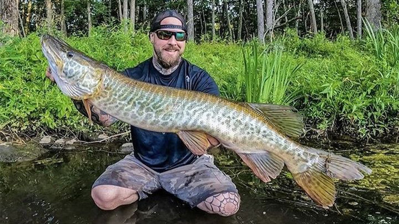 Connecticut fisherman catches 26-pound tiger muskie: 'What a monster!'