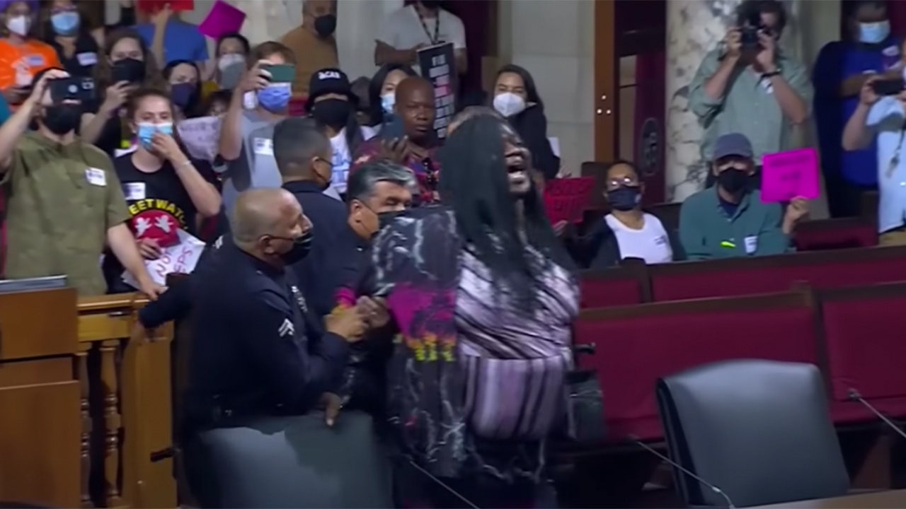 Protesters disrupt Los Angeles City Council vote on banning homeless encampments near schools