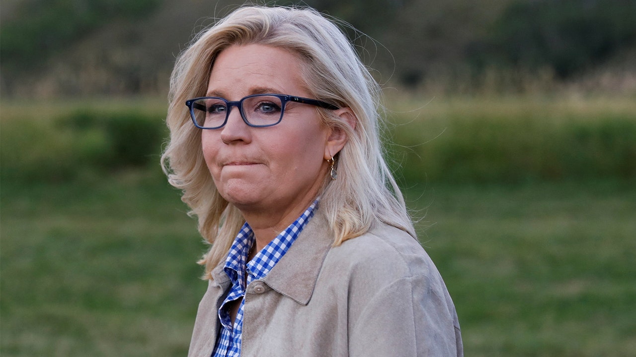Liz Cheney on if she prefers Democrats hold House majority: ‘It’s a tough question’