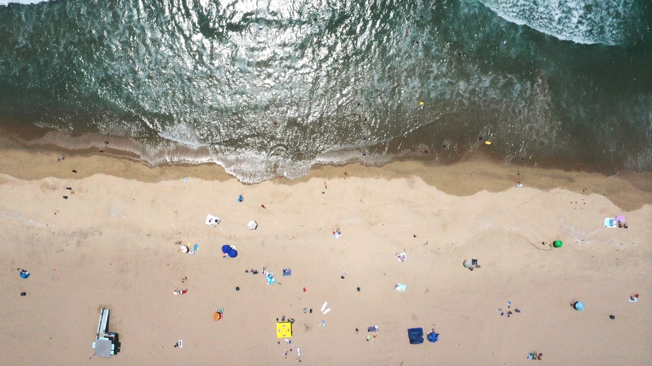 Shark sightings plague beaches nationwide over the weekend