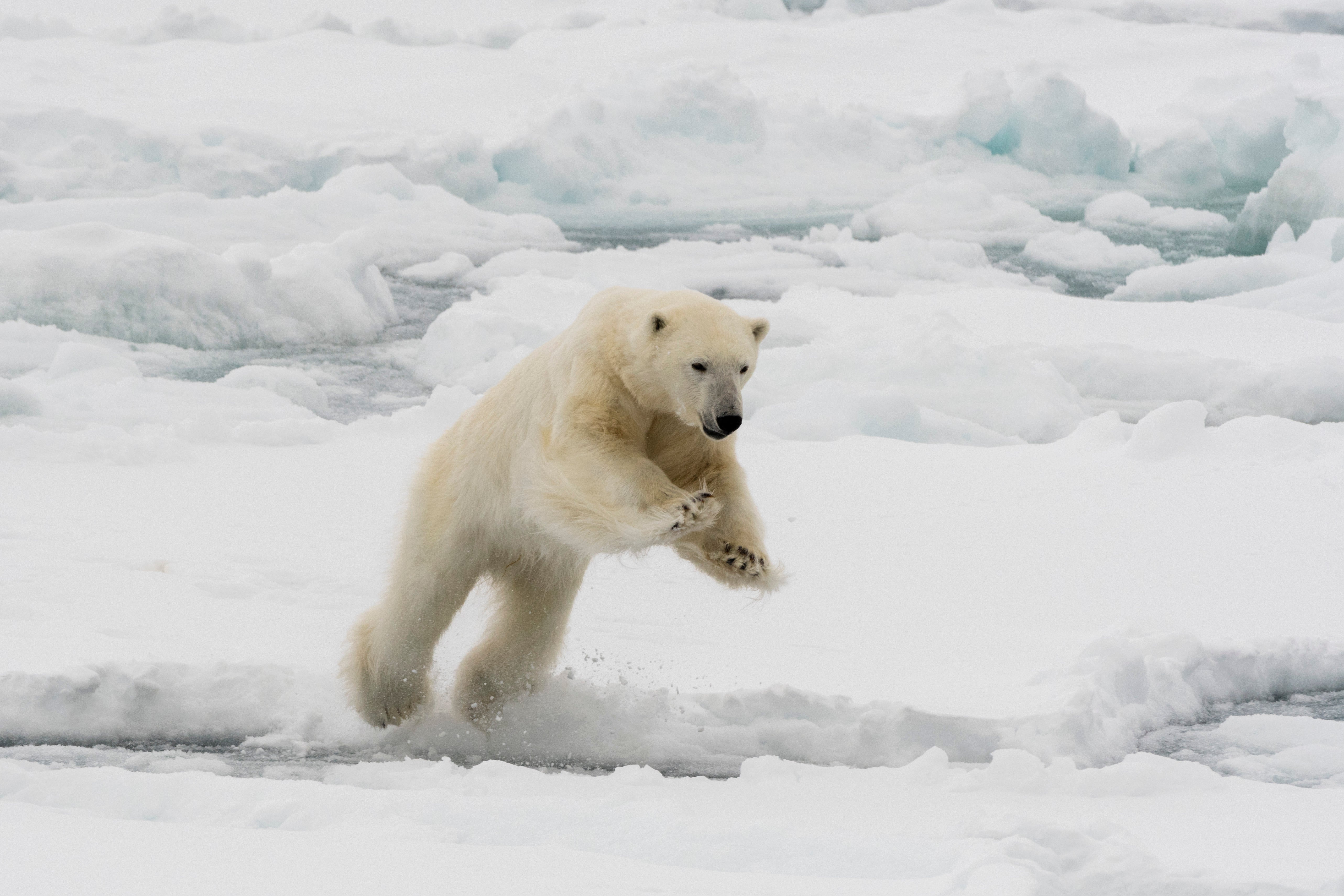 On this day in history, August 8, 1975, 'global warming' enters ...