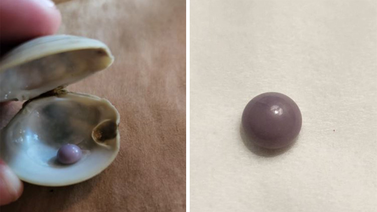 Pennsylvania man finds rare purple pearl inside a clam at Delaware restaurant: report
