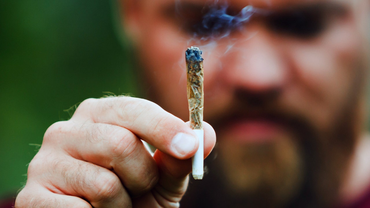 Marijuana with high THC levels linked to addiction, psychiatric illness, study finds