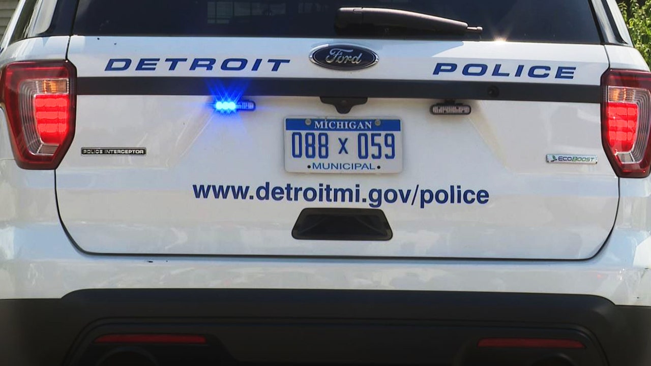 Read more about the article Family of 70-year-old who died after being punched by Detroit cop file $50M suit