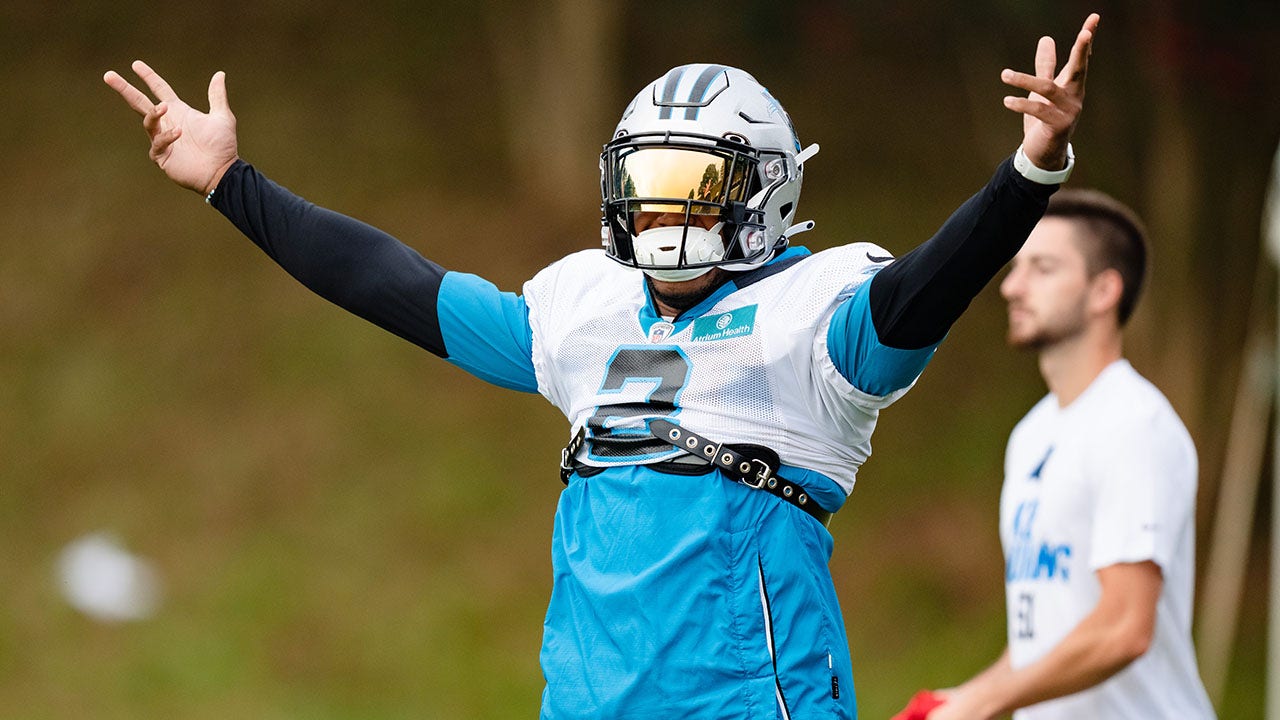 Panthers’ DJ Moore broke up a potential fan fight in the stands