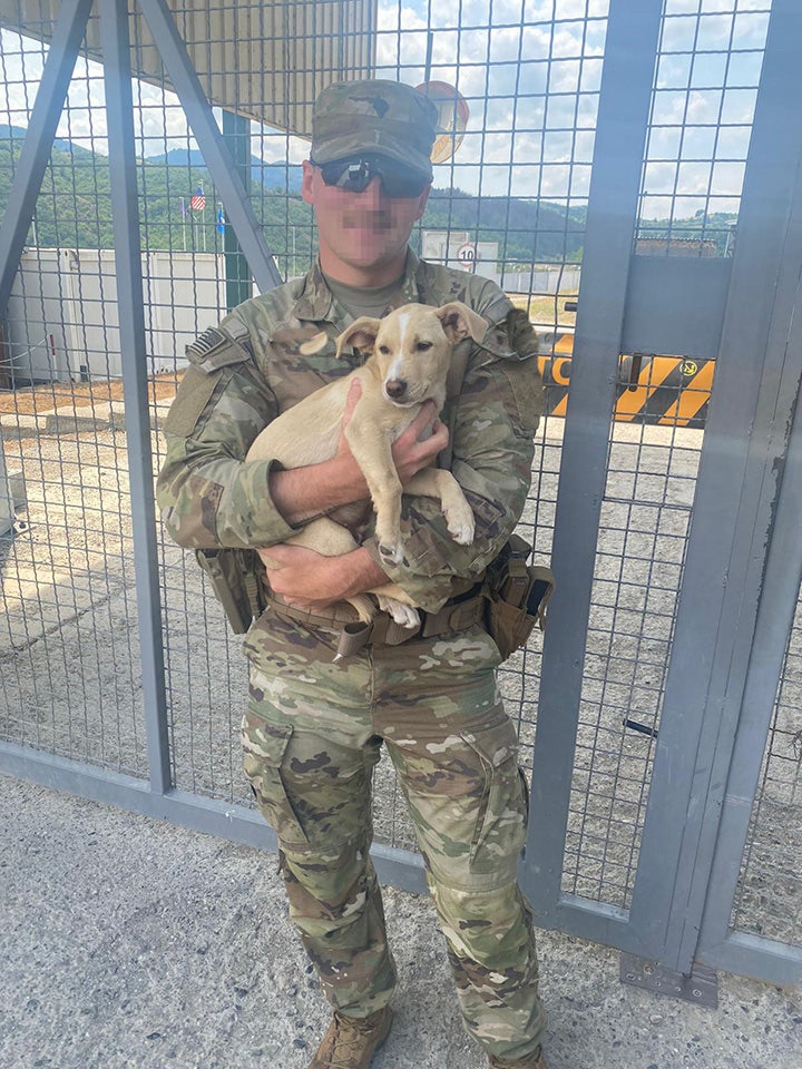 Army soldier aims to rescue desperate dog that snuck onto overseas base:  'He deserves to come home' | Fox News