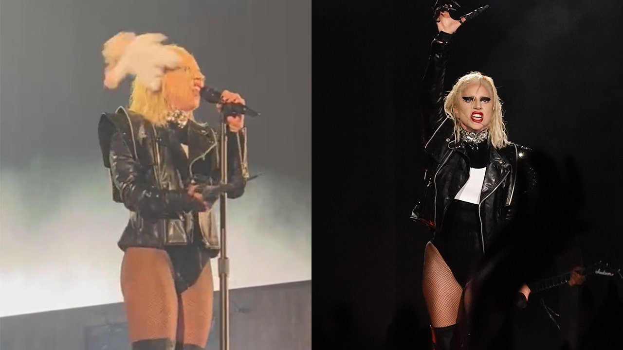 Lady Gaga hit in the head during concert: Video shows how the 'Hold My Hand' singer handled it