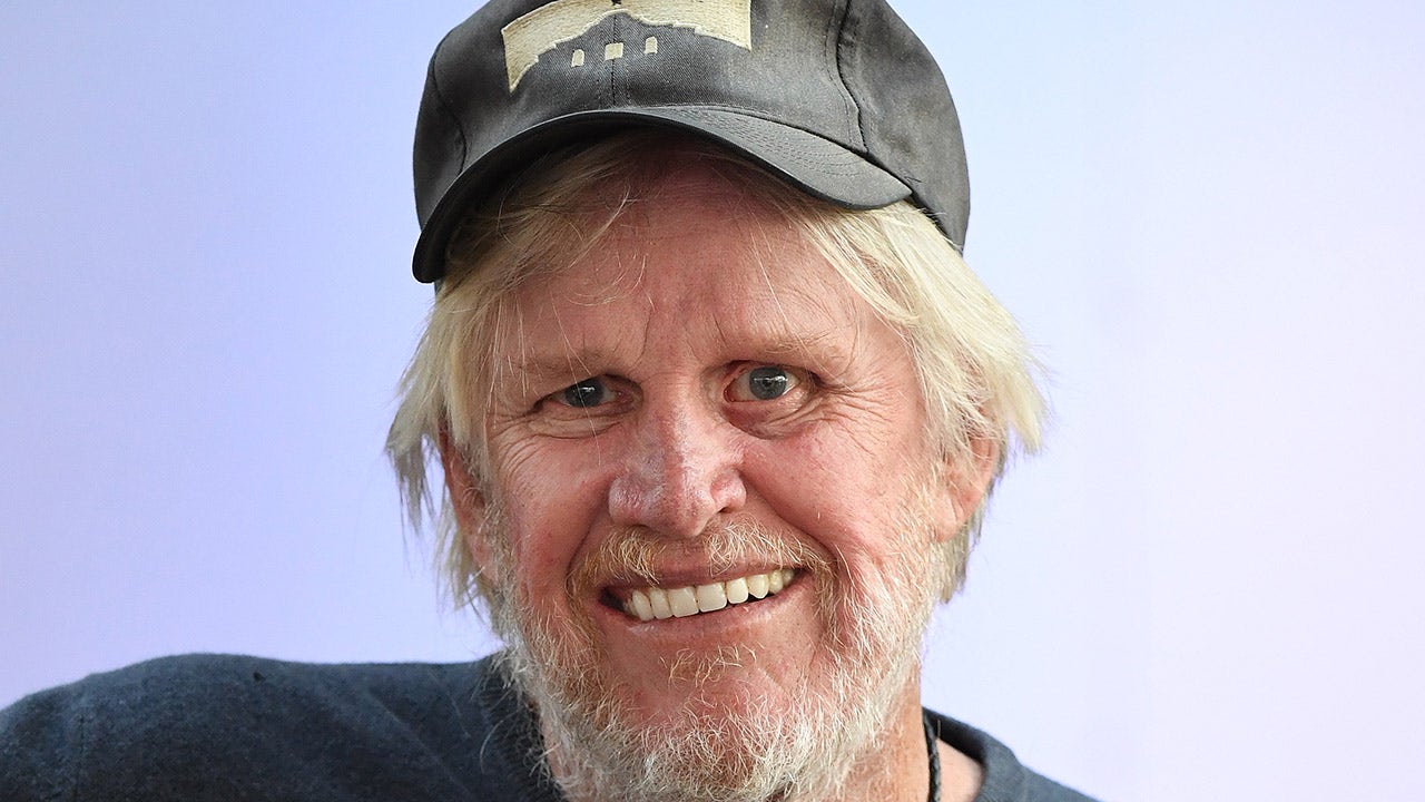 Gary Busey faces sex charges in New Jersey