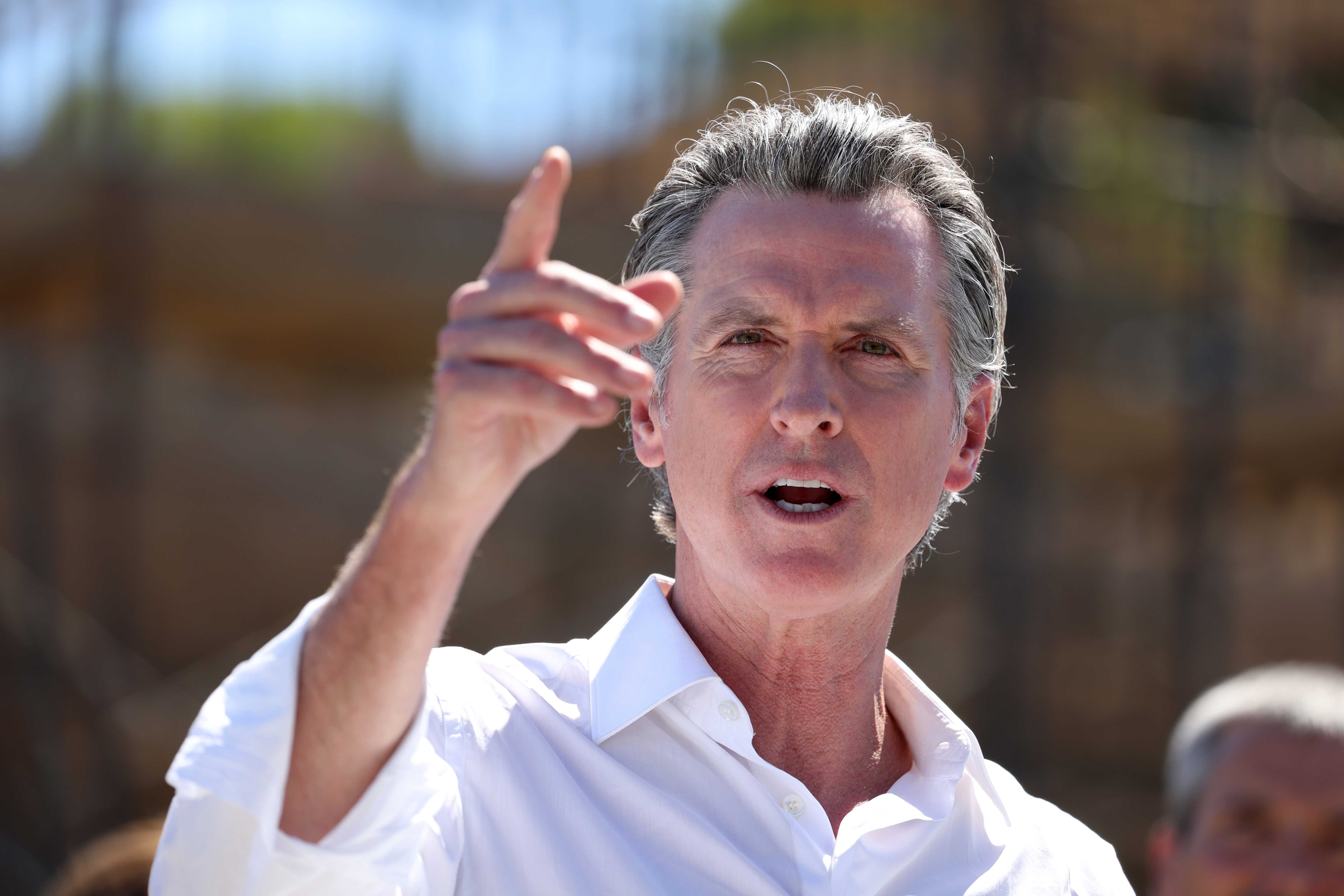 Newsom wants to 'make DeSantis a one-term Governor' pledges $100,000 to Crist's campaign