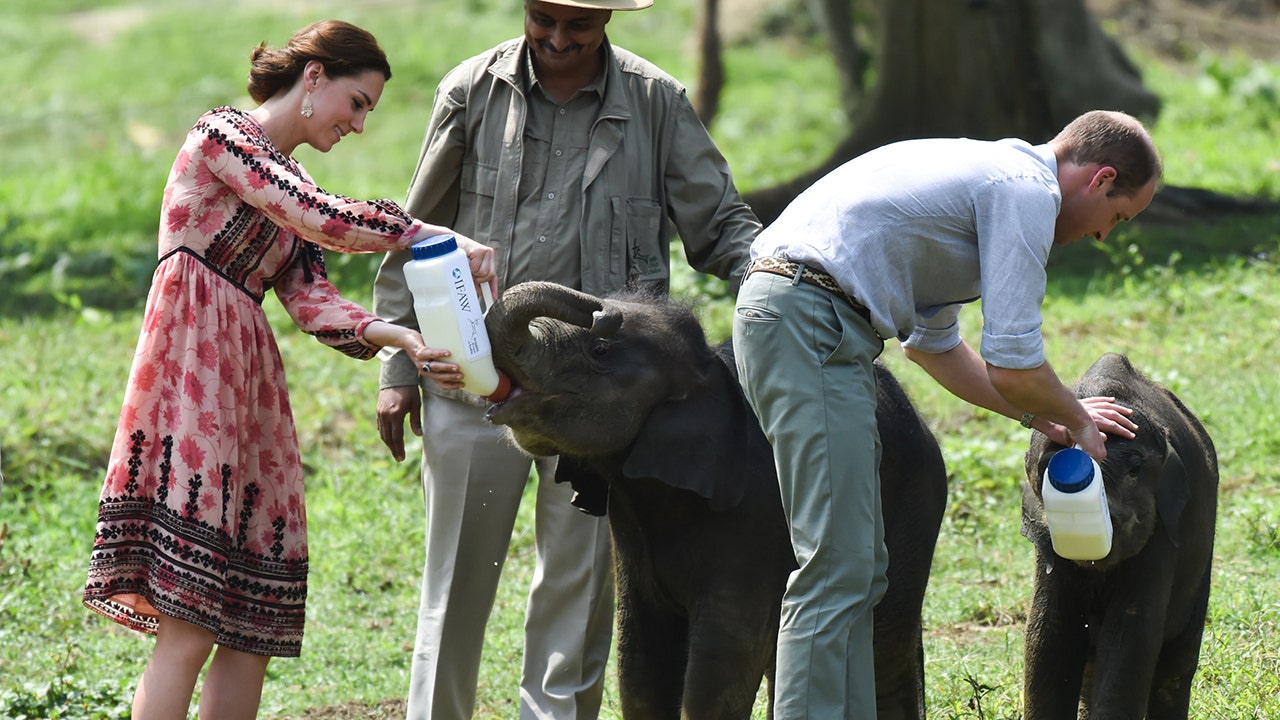 <u>Prince William</u> praised a 63-month sentence for a man who trafficked in rhino horns and ivory from elephants as a 