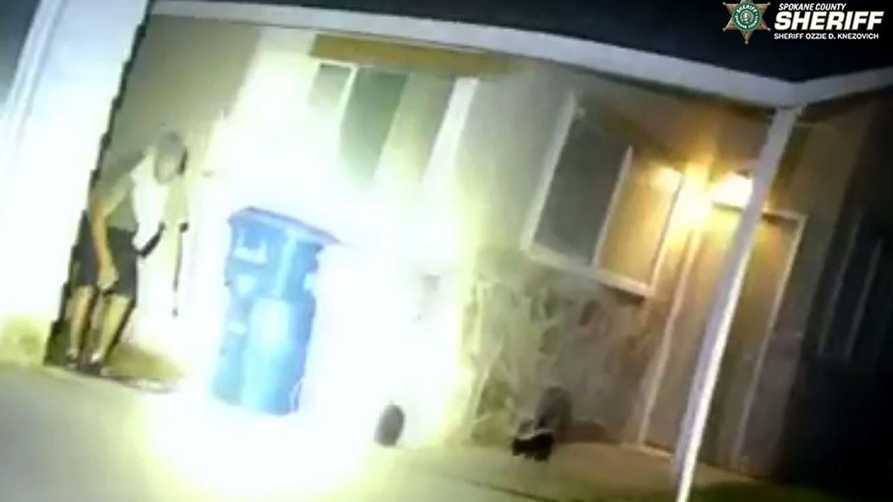 Skunk sprays suspected Washington church burglar before deputies make arrest, sheriff says