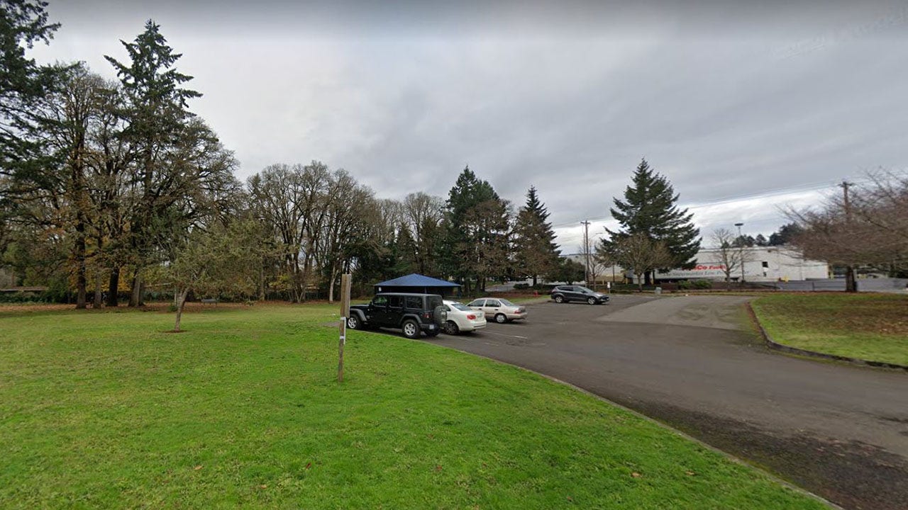 Oregon woman charged with murder after running over, killing father of her children at park: police