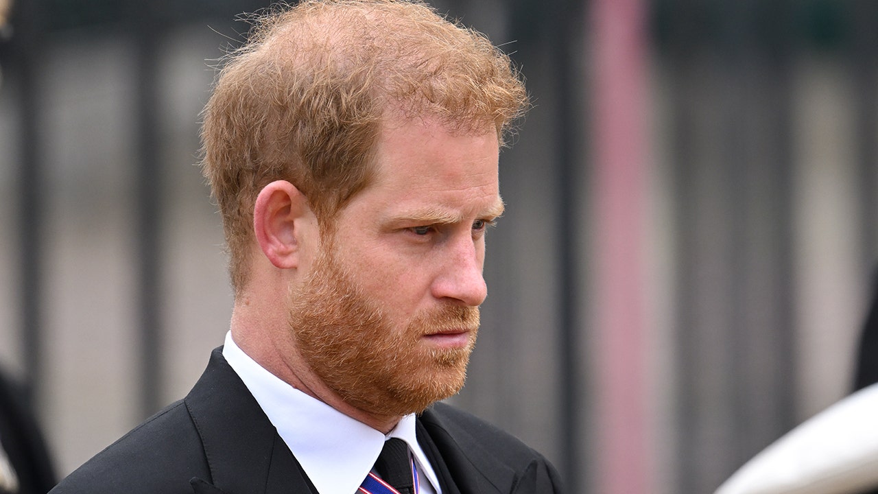 Prince Harry was 'very well protected' during Queen Elizabeth's funeral amid security concerns: royal expert