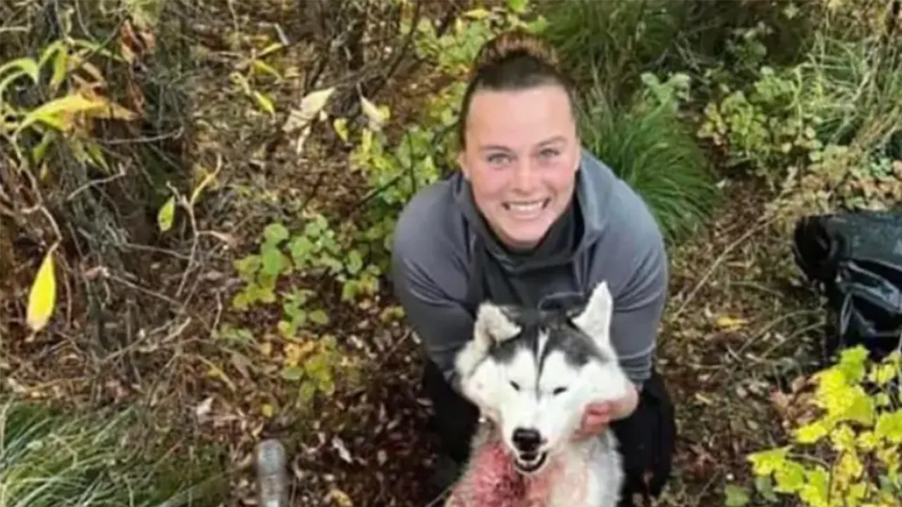 Montana woman shoots, skins Siberian husky she mistook for a wolf | Fox News
