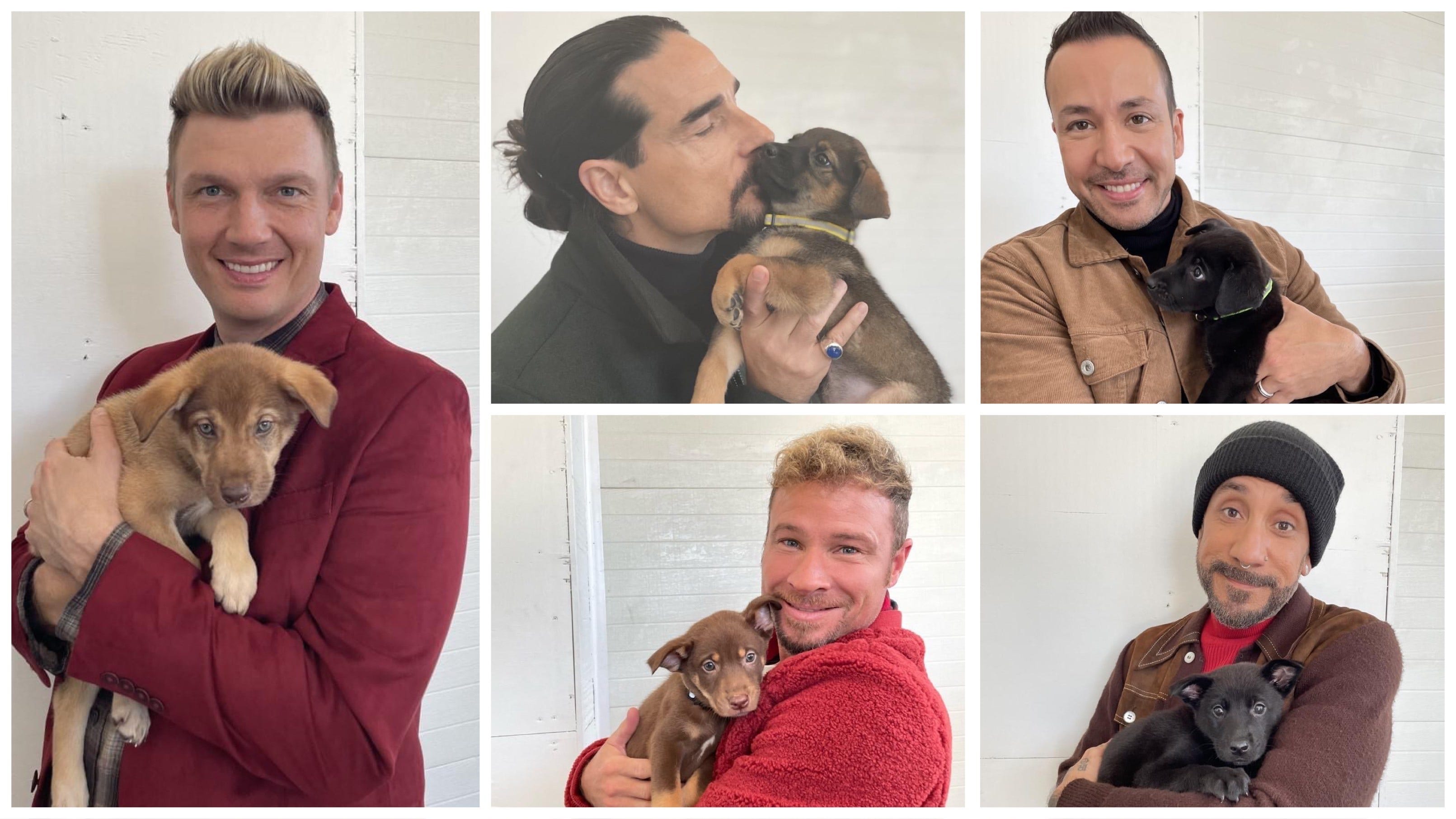 Tennessee shelter puppies share namesake with Backstreet Boys after special visit
