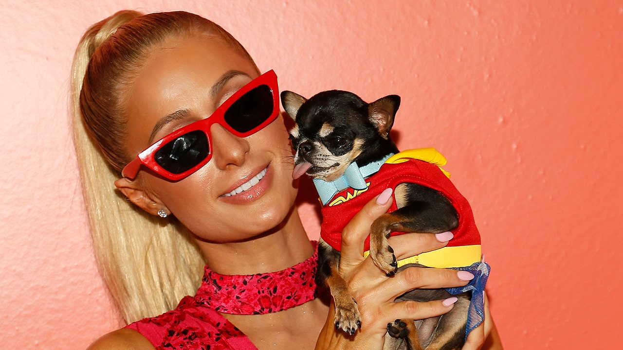 Paris Hilton's dog gets royal treatment in a Louis Vuitton coat as they  brave the winter in New York