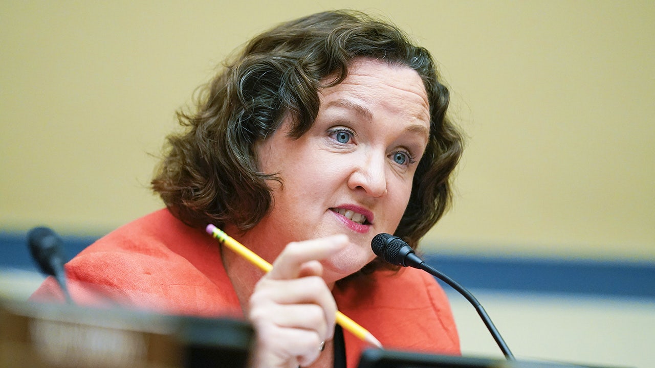 Katie Porter received royalties from books she required students to purchase during tenure as a law professor