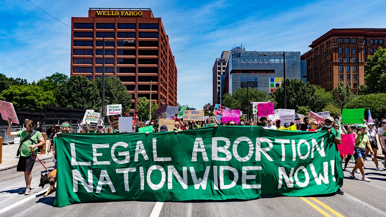 Washington Post columnist calls out fact-checkers over claim Democrats don't support abortion up until birth