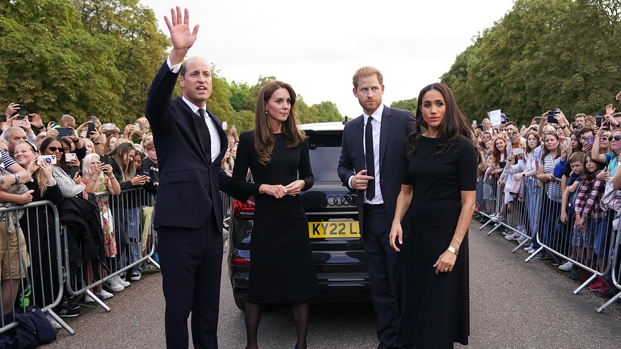 Prince William ripped on social media, Prince Harry praised for treatment of Meghan Markle in viral video